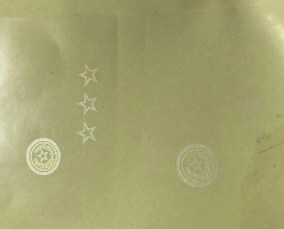 Texas Hologram Overlay Stickers