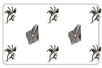 Western Australia Hologram Overlay Stickers