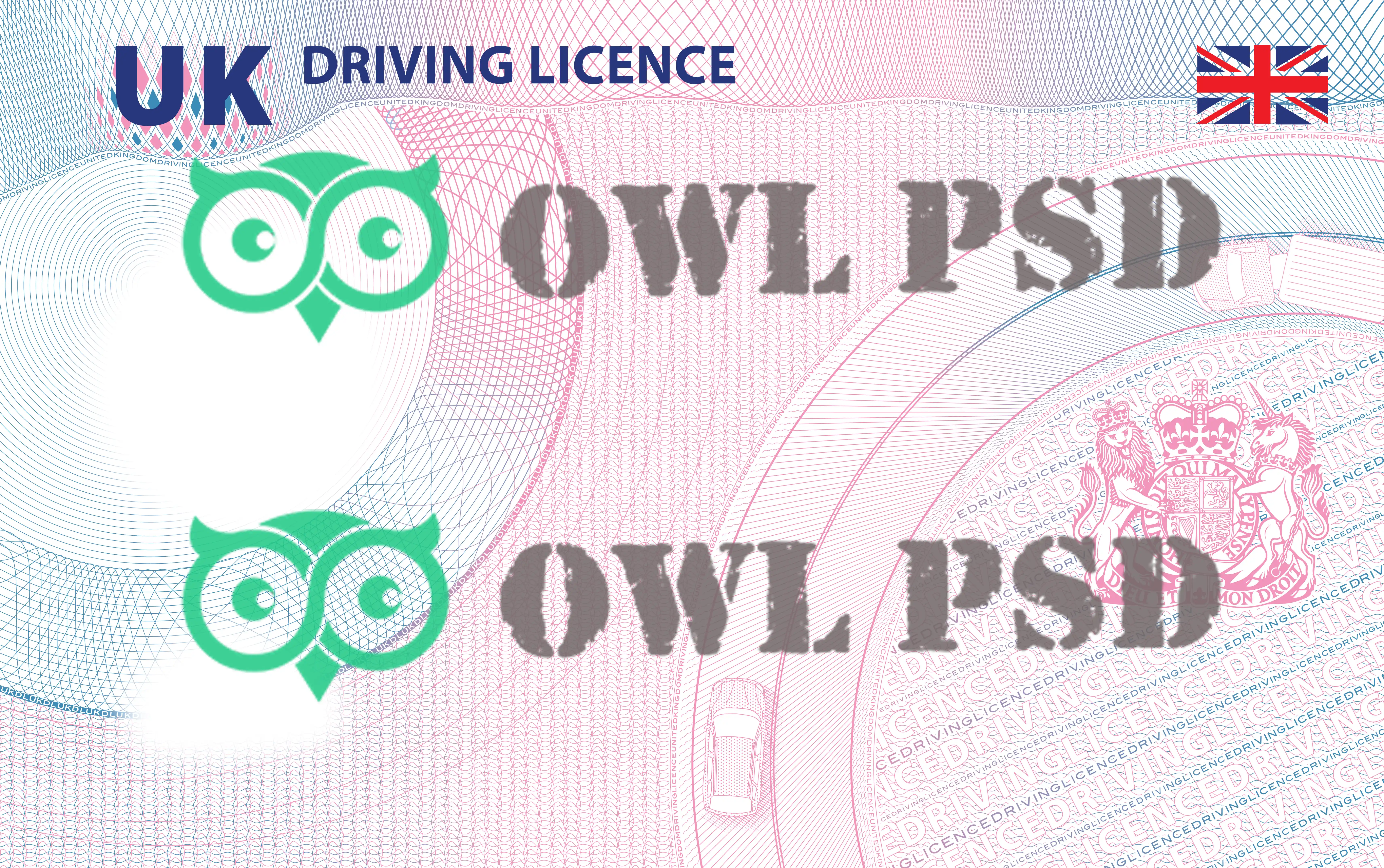 United Kingdom Drivers License Vector 2022
