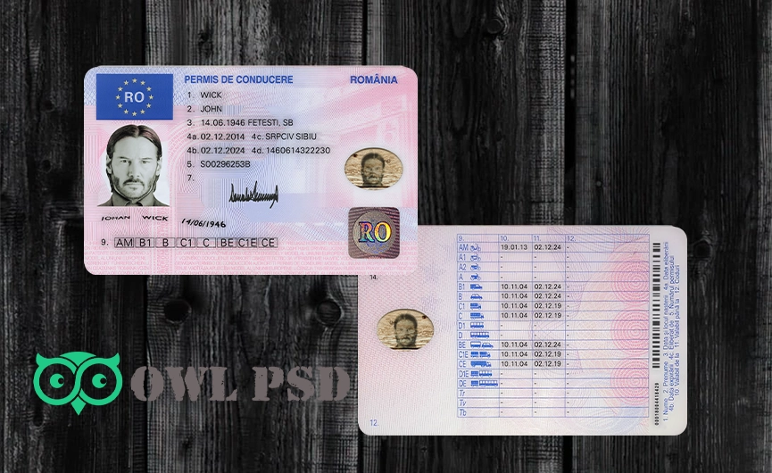 Romania Driver License Template 2013
