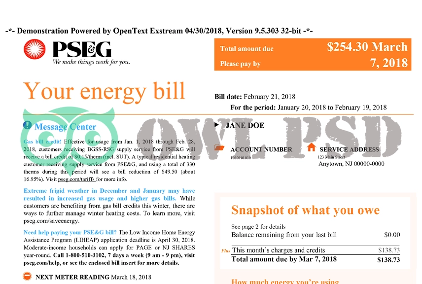 United States PSEG Utility Bill Template
