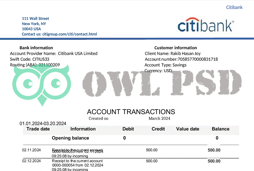 United States Citibank Statement Template
