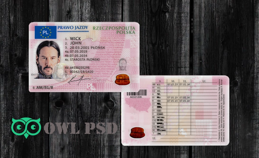 Poland Driver License Template 2019