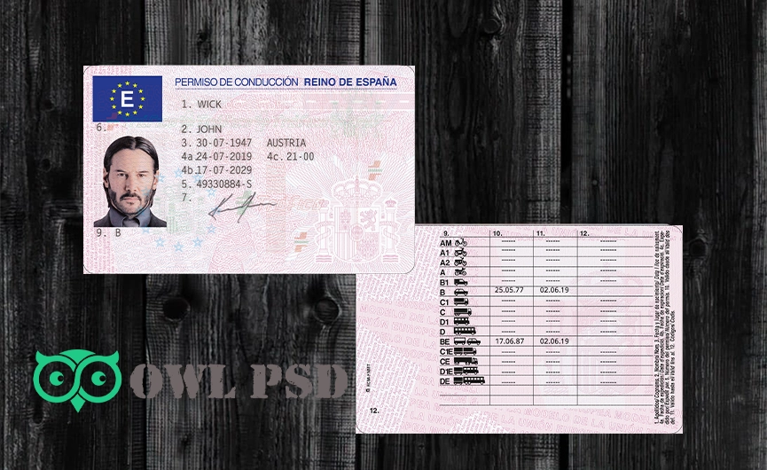 Spain Driver License Template Vector Quality